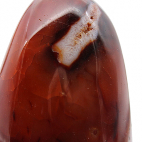 Ornamental carnelian