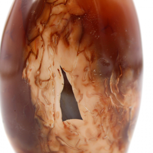 Polished carnelian rock