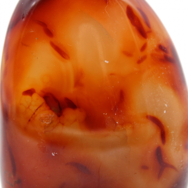 Polished carnelian rock