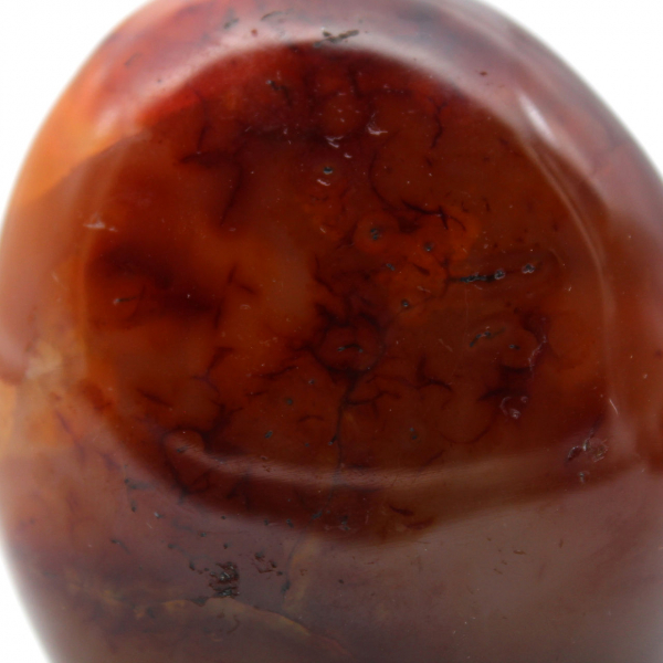 Carnelian for collection