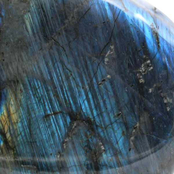 Polished Labradorite