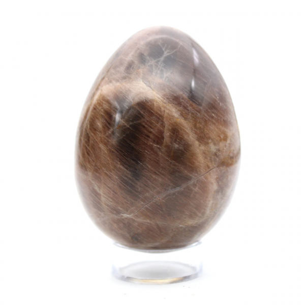 Madagascar Moonstone Egg