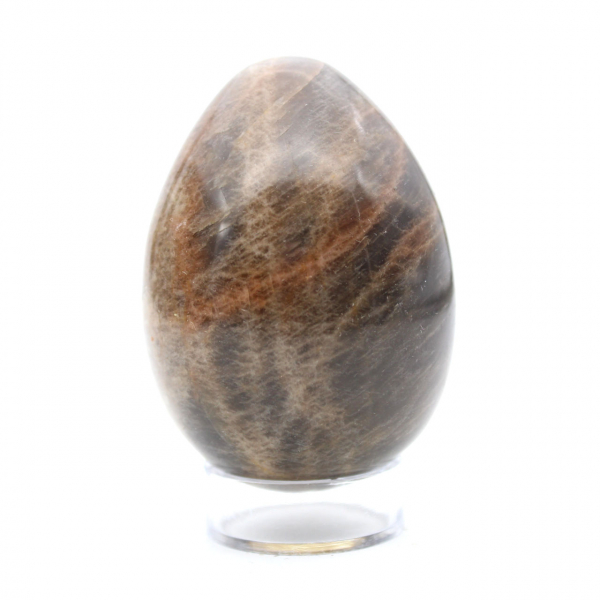 Moonstone: Egg