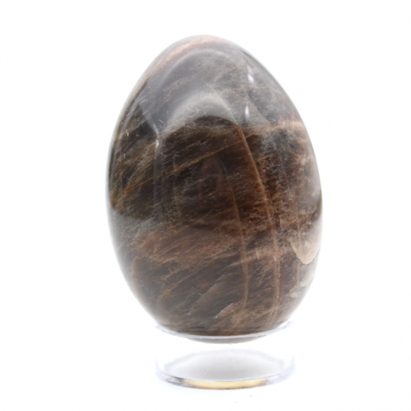 Black Moonstone Egg