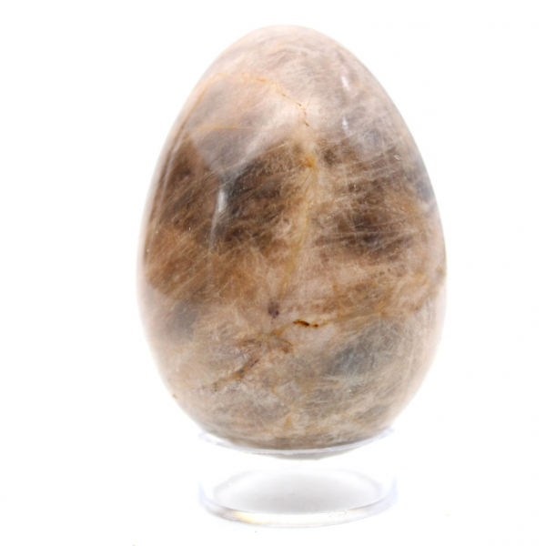 Black Microcline Egg