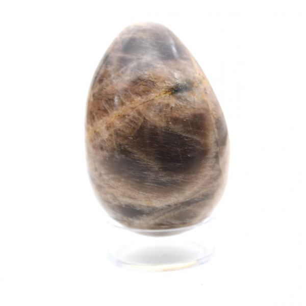 Moonstone: Egg