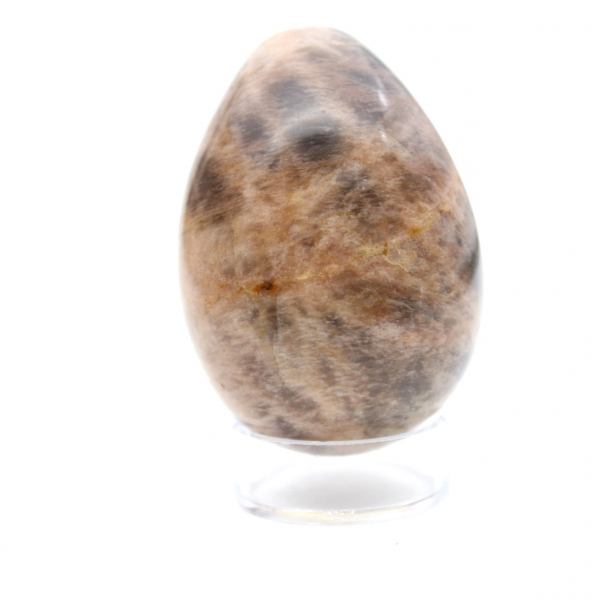 Moonstone: Egg