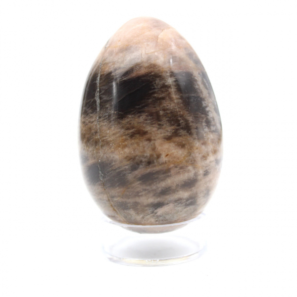 Madagascar Moonstone: Egg