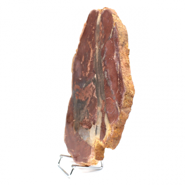 Madagascar silicified wood slice