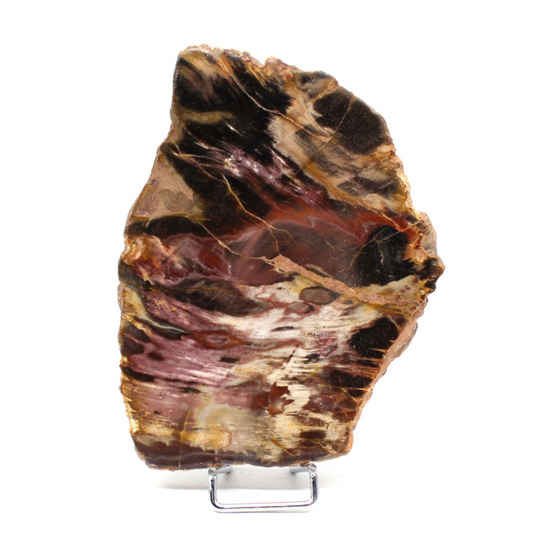 Natural Fossilized Wood