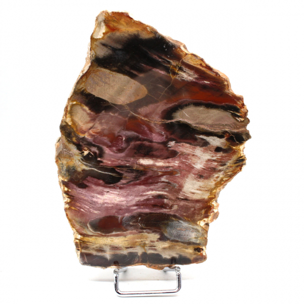 Natural Fossilized Wood