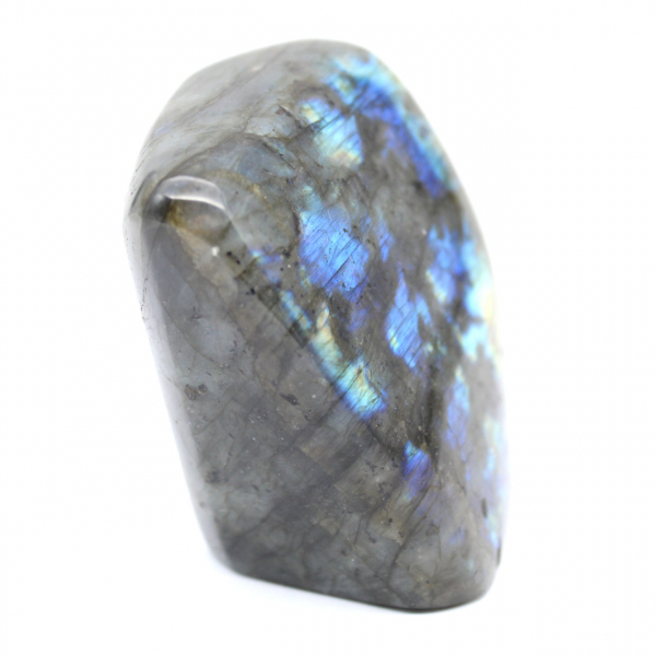 Polished Labradorite free form