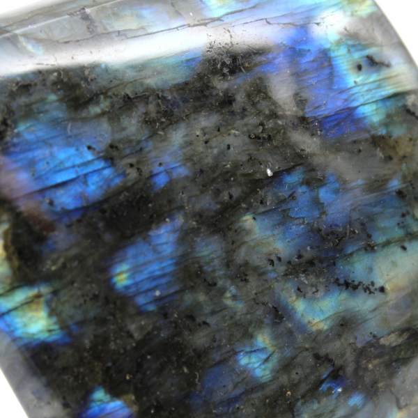 Polished Labradorite free form