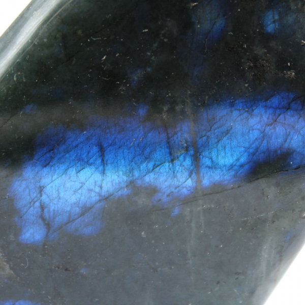 Polished Labradorite