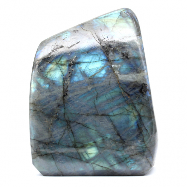 Polished Labradorite polished form