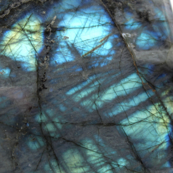 Polished Labradorite polished form