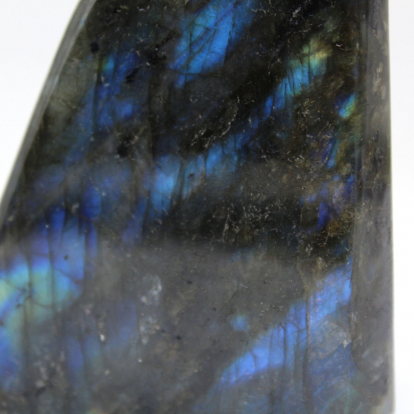 Polished Labradorite free form