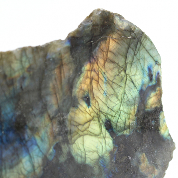 Ornamental Labradorite, One-Sided Polished