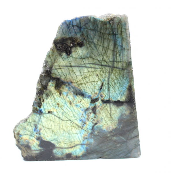 Ornamental Labradorite, One-Sided Polished
