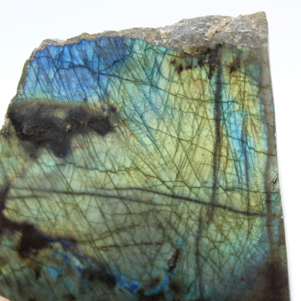 Ornamental Labradorite, One-Sided Polished