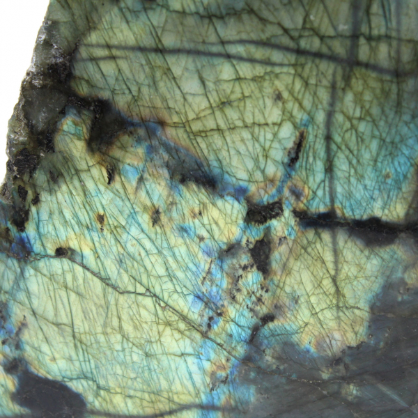 Ornamental Labradorite, One-Sided Polished