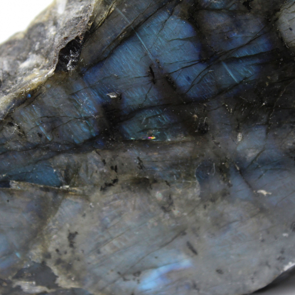 Natural Collectible White Labradorite, One-Sided Polished