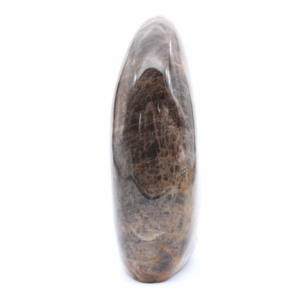 Natural Collectible Black Microcline