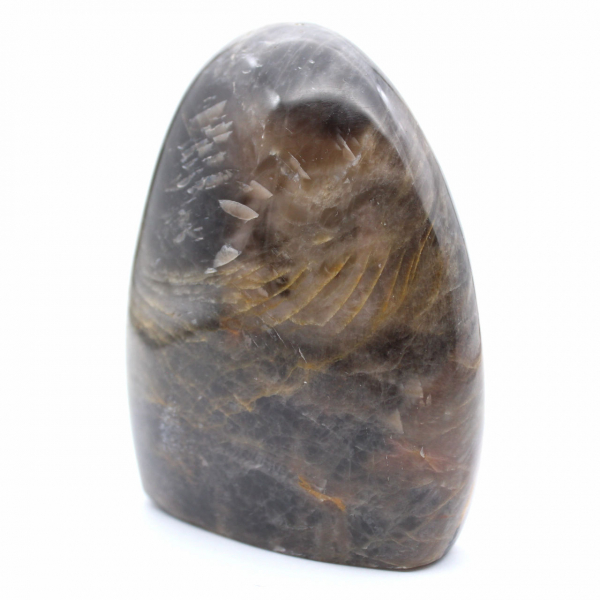 Ornamental Black Moonstone