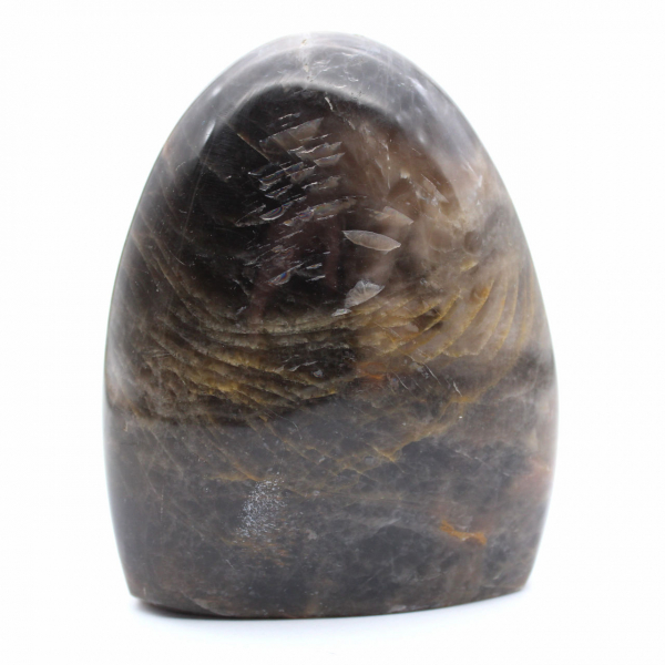 Ornamental Black Moonstone