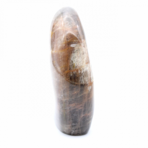 Polished Moonstone