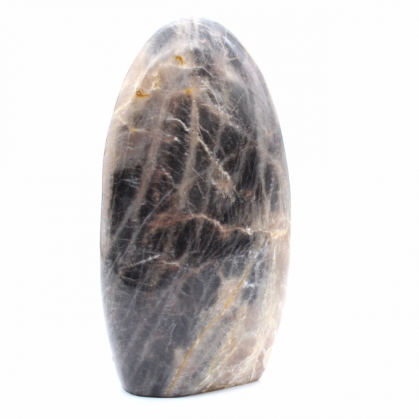 Polished Black Moonstone Rock