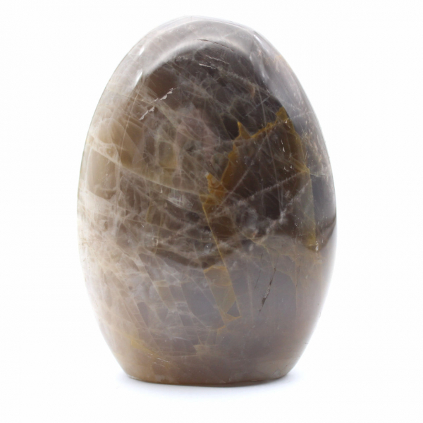 Polished Freeform Black Moonstone