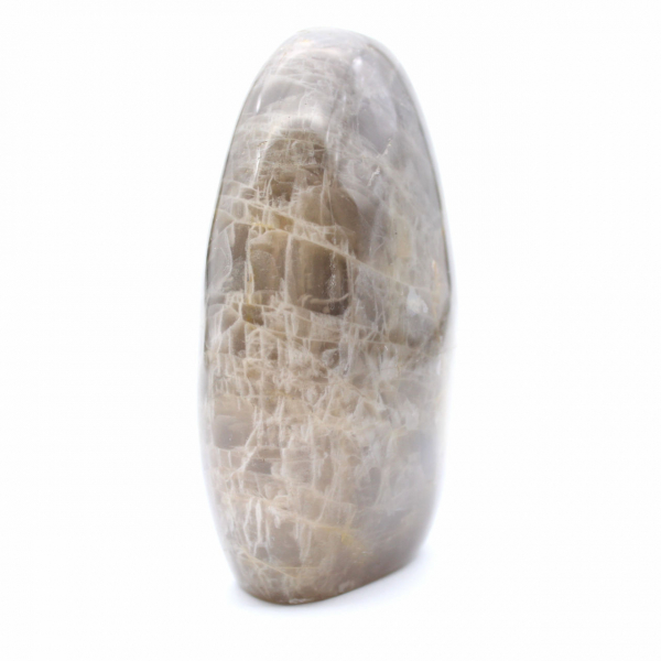 Polished Freeform Black Moonstone