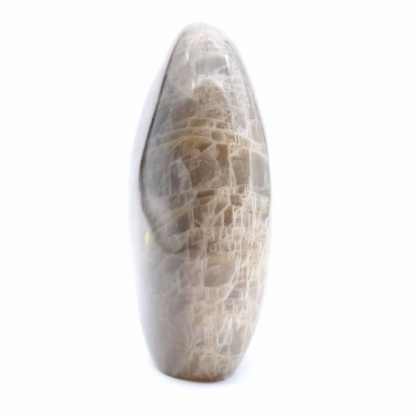 Polished Freeform Black Moonstone