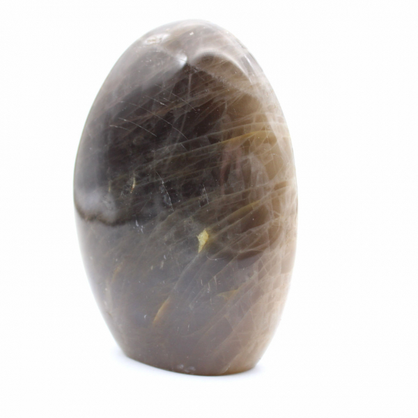 Polished Freeform Black Moonstone