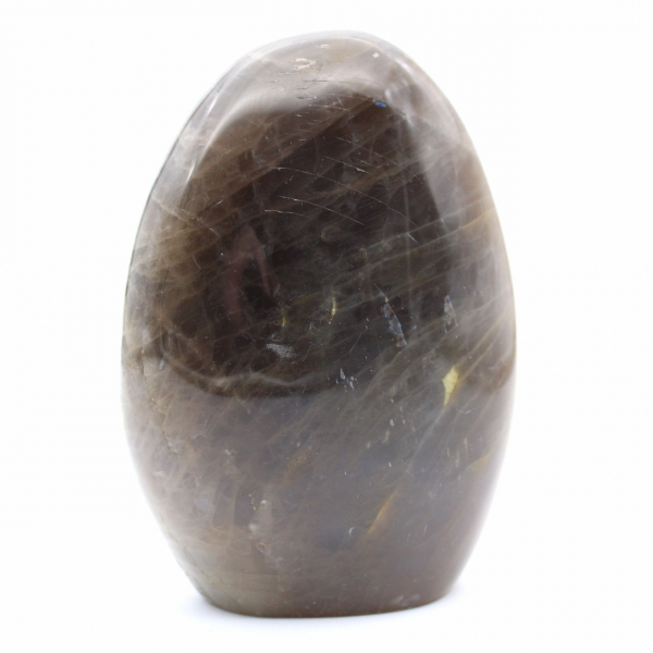 Polished Freeform Black Moonstone
