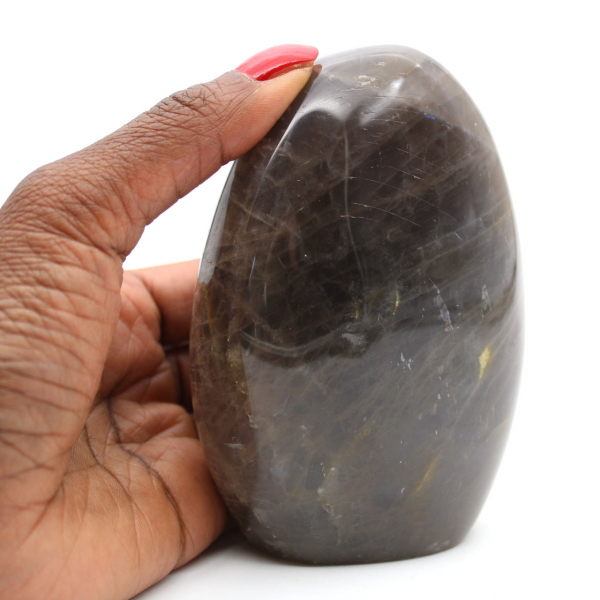 Polished Freeform Black Moonstone