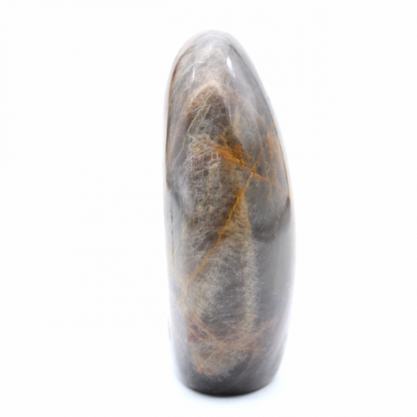 Ornamental Black Moonstone