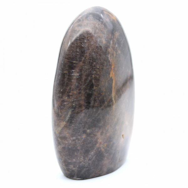Collectible Natural Black Moonstone