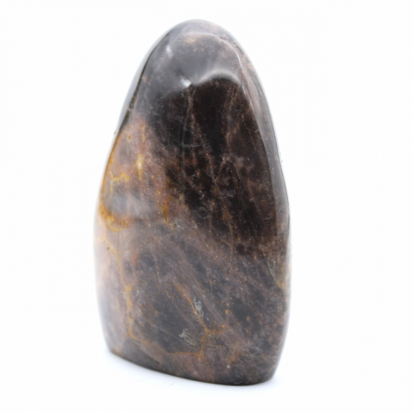 Collectible Natural Black Moonstone