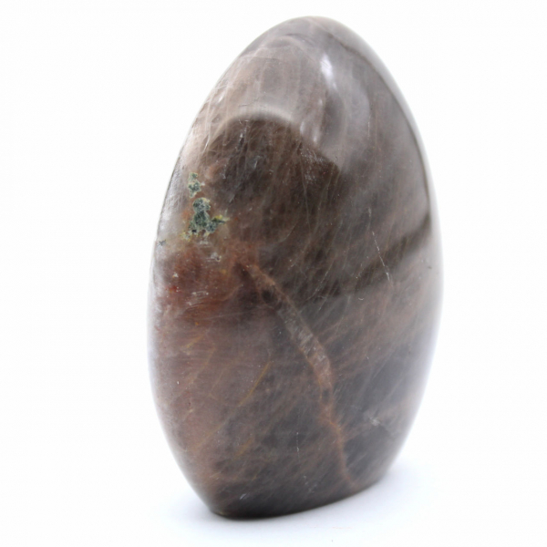 Polished Freeform Black Moonstone