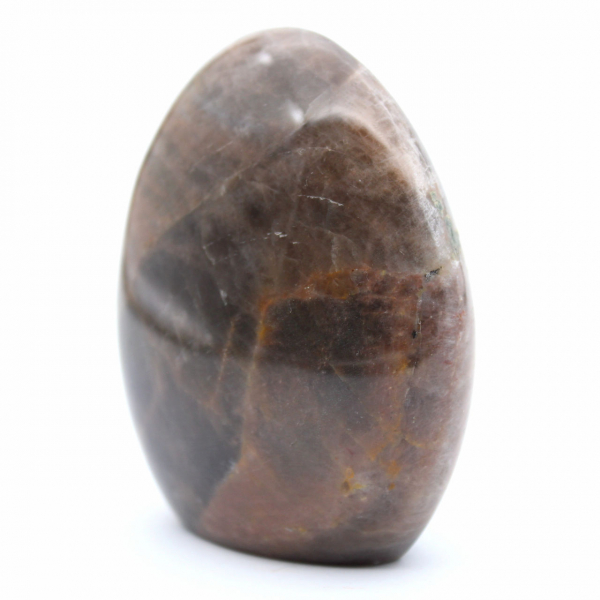 Polished Freeform Black Moonstone