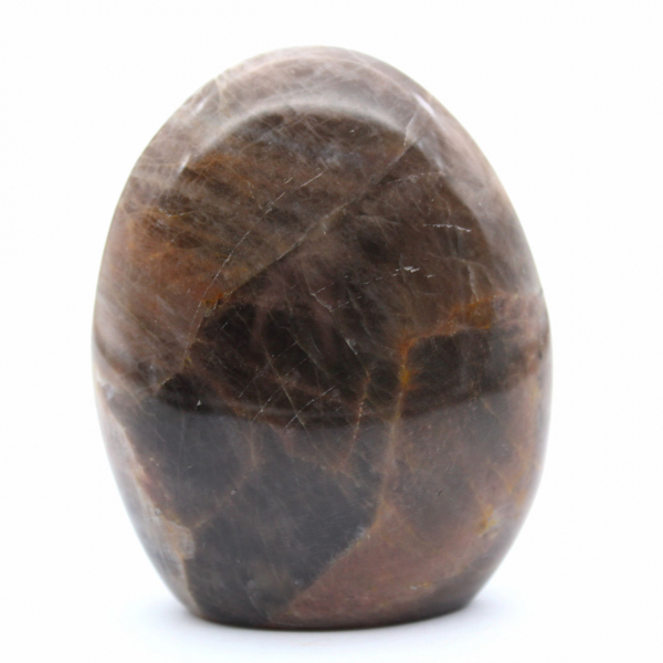 Polished Freeform Black Moonstone