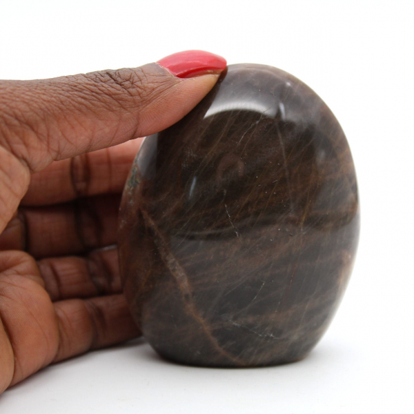 Polished Freeform Black Moonstone