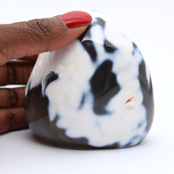 Natural Collectible Agate