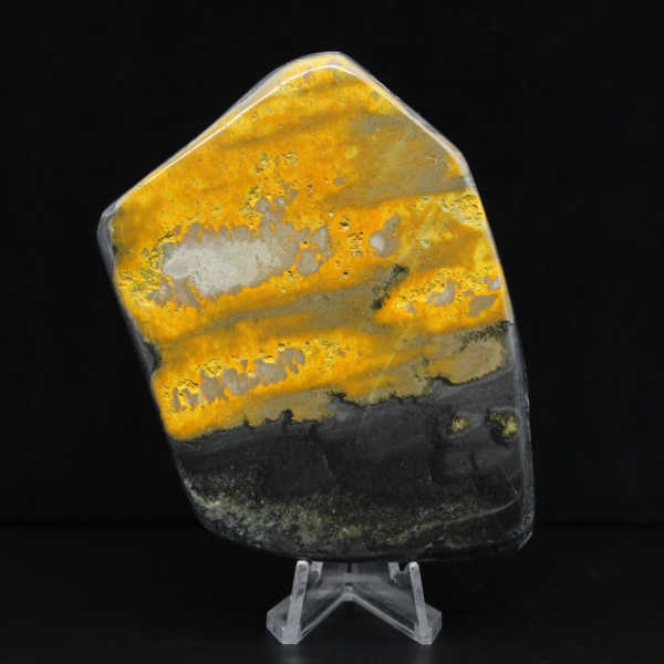 Bumblebee Polished Indonesia Collection