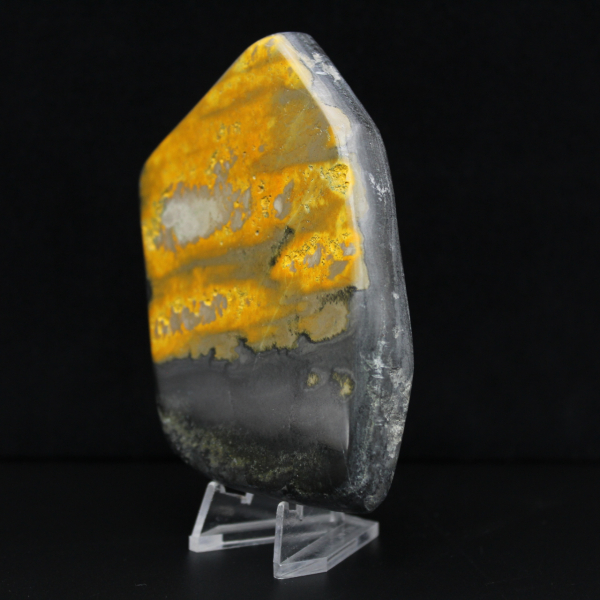 Bumblebee Polished Indonesia Collection