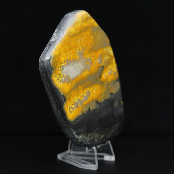 Bumblebee Polished Indonesia Collection