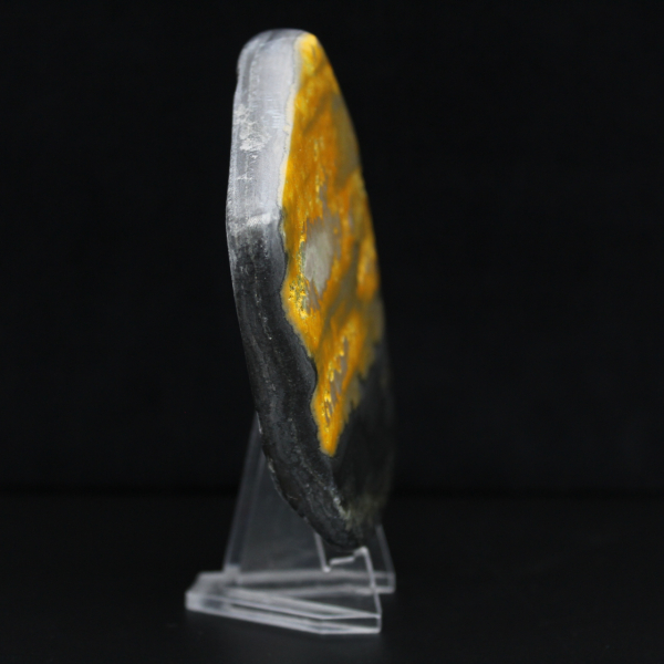 Bumblebee Polished Indonesia Collection