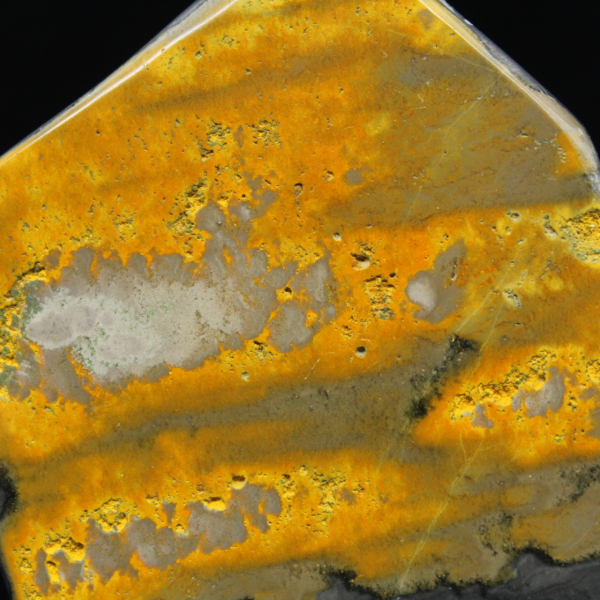 Bumblebee Polished Indonesia Collection